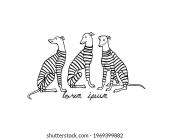 Vector card with a group with hand drawn cute whippets in stripe sweet pyjamas. Beautiful design elements, ink drawing, funny illustration. 