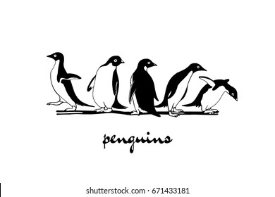 Vector card with group of hand drawn cute penguins. Funny penguin characters, beautiful design elements.