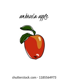 Vector card with hand drawn Ambrosia apple. Beautiful food design elements. Ink drawing