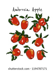 Vector card with hand drawn Ambrosia apples. Beautiful food design elements. Ink drawing