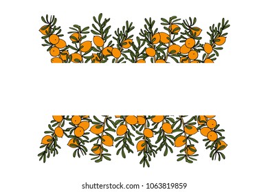 Vector card with hand drawn Argan tree branches with fruit. Beautiful design elements, ink drawing, logo template