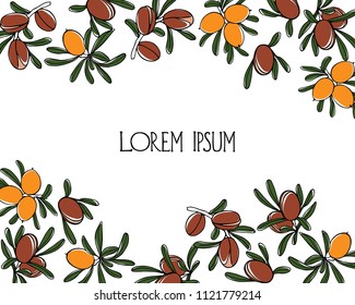 Vector card with hand drawn Argan tree branches with fruit. Beautiful design elements, ink drawing, logo template