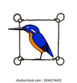 Vector card with hand drawn Azure Kingfisher in nautical rope frame. Ink drawing, beautiful animal design elements. Logo template