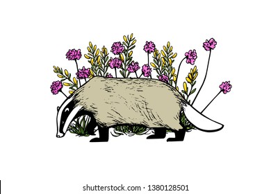 Vector card with hand drawn badger in pink flowers made with ink. Perfect design elements, animal illustration