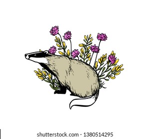 Vector card with hand drawn badger in pink and yellow flowers made with ink. Perfect design elements, animal illustration