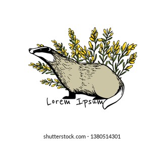 Vector card with hand drawn badger in yellow flowers made with ink. Perfect design elements, animal illustration