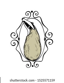 Vector card with hand drawn badger in vintage elegant frame made with ink. Perfect design elements, animal illustration