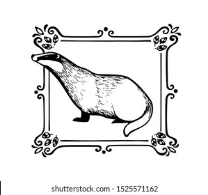 Vector card with hand drawn badger in vintage elegant frame made with ink. Perfect design elements, animal illustration