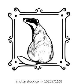 Vector card with hand drawn badger in vintage elegant frame made with ink. Perfect design elements, animal illustration