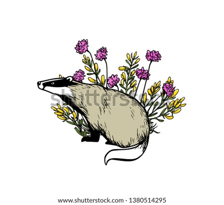 Vector card with hand drawn badger in pink and yellow flowers made with ink. Perfect design elements, animal illustration