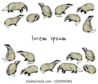 Vector card with hand drawn badgers. Beautiful animal design elements, ink drawing, sweet characters