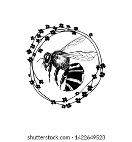 Vector card with hand drawn bee in floral wreath made with ink. Beautiful animal design elements, perfect for prints and patterns