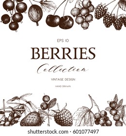 Vector card with hand drawn berries illustration. Vintage sketched  template. Organic food design. 