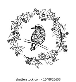 Vector card with hand drawn bird in hop wreath made with ink. Beautiful animal design elements, logo template