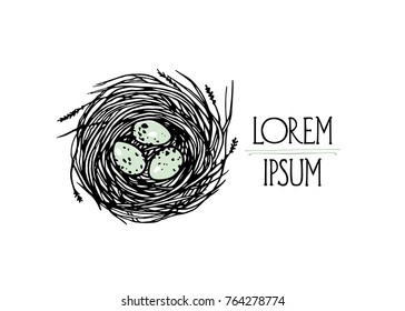 Vector card with hand drawn bird nest with eggs in it. Beautiful design elements. 