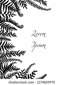 Vector card with hand drawn black fern leaves. Ink drawing, beautiful floral design elements.