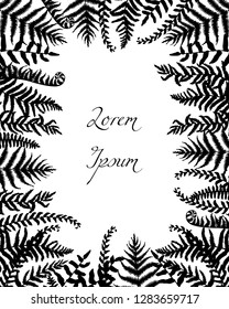 Vector card with hand drawn black fern leaves. Ink drawing, beautiful floral design elements.