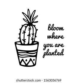 Vector card with hand drawn blooming cactus in painted pot. Ink drawing, graphic style. Beautiful design elements.