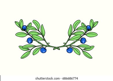 Vector card with hand drawn blueberry laurel. Beautiful floral design elements, ink drawing