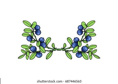 Vector card with hand drawn blueberry laurel. Beautiful floral design elements, ink drawing