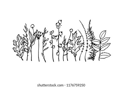Vector card with hand drawn branches of wild plants. Beautiful floral design elements. Perfect for prints and patterns.