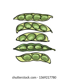 Vector card with hand drawn broad bean pods. Beautiful food design elements, ink drawing