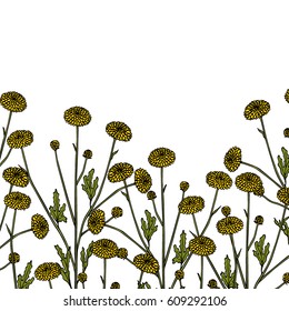 Vector card with hand drawn button mum twigs. Beautiful ink drawing, vintage style.
