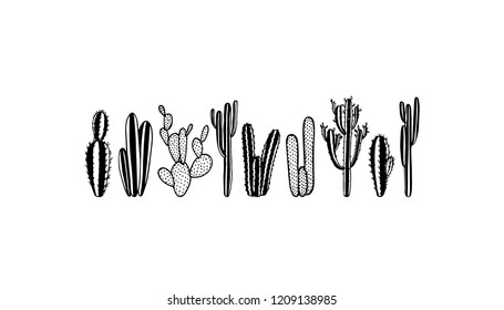 Vector card with hand drawn cacti. Beautiful floral design elements, perfect for prints and patterns