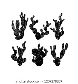 Vector card with hand drawn cacti. Beautiful floral design elements, perfect for prints and patterns