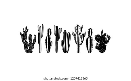 Vector card with hand drawn cacti. Beautiful floral design elements, perfect for prints and patterns