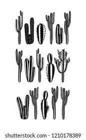 Vector card with hand drawn cacti. Beautiful floral design elements, perfect for prints and patterns