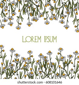 Vector card with hand drawn chamomile twigs. Beautiful ink drawing, vintage style.