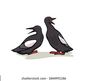 Vector card with hand drawn chatting Guillemot birds. Beautiful animals design elements, ink drawing. Wonderful illustration of a cute seabird.