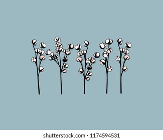 Vector card with hand drawn cotton twigs. Ink drawing, beautiful design elements