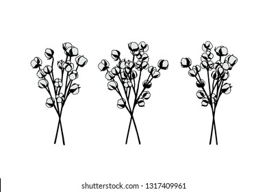 Vector card with hand drawn cotton flowers. Beautiful floral design, ink drawing. 