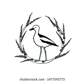 Vector card with hand drawn crab-plover emblem. Hand drawn seabird in floral wreath. Beautiful ink drawing. Perfect elements for animal design.