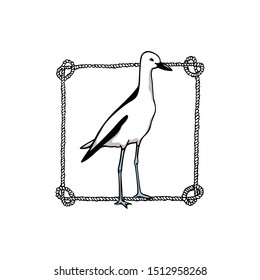 Vector card with hand drawn crab-plover emblem. Hand drawn seabird in nautical frame. Beautiful ink drawing. Perfect elements for animal design.
