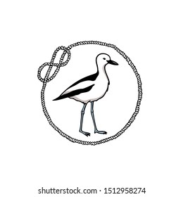 Vector card with hand drawn crab-plover emblem. Hand drawn seabird in nautical frame. Beautiful ink drawing. Perfect elements for animal design.