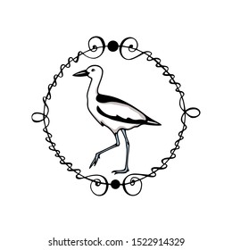 Vector card with hand drawn crab-plover emblem. Hand drawn seabird in vintage frame. Beautiful ink drawing. Perfect elements for animal design.