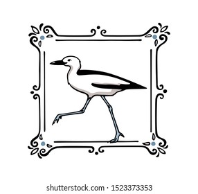 Vector card with hand drawn crab-plover emblem. Hand drawn seabird in vintage frame. Beautiful ink drawing. Perfect elements for animal design.