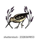 Vector card with hand drawn cute snipe in graceful lavender laurel. Ink drawing, decorative graphic style. Beautiful wild nature design elements, perfect for hunt clubs logo design