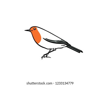 Vector card with hand drawn cute robin. Ink drawing, beautiful animal design elements.
