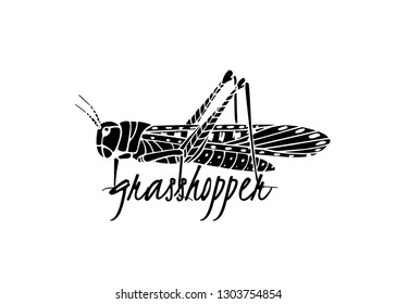 Vector card with hand drawn cute grasshopper made in ink. Beautiful animal design elements, ink drawing, logo template