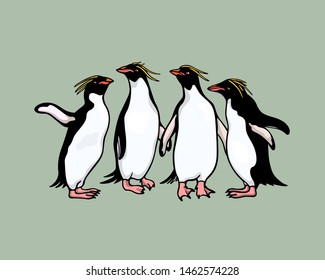 Vector card with hand drawn cute Macaroni penguins. Ink drawing, funny illustration, beautiful animal design elements.