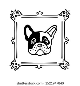 Vector card with hand drawn cute French bulldog's portrait in vintage frame. Ink drawing, graphic style, heavy contour. Beautiful animal design elements.