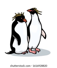 Vector card with hand drawn cute Macaroni penguins. Ink drawing, funny illustration, beautiful animal design elements.