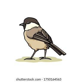 Tarjeta vectorial con mano dibujada lindo Tit Willow. Dibujo de tinta, hermosos elementos de diseño animal. Plantilla de logotipo