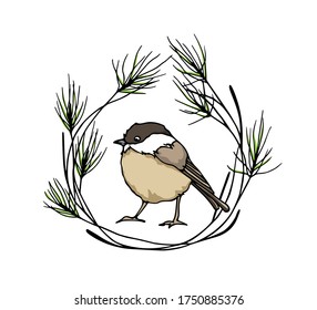 Vector card with hand drawn cute Willow Tit in pine wreath. Ink drawing, beautiful animal design elements. Logo template