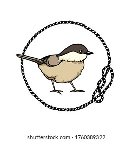Vector card with hand drawn cute Willow Tit in nautical rope frame. Ink drawing, beautiful animal design elements. Logo template