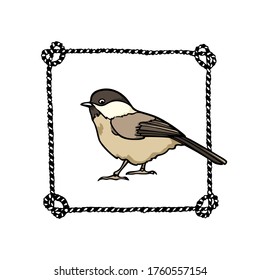Vector card with hand drawn cute Willow Tit in nautical rope frame. Ink drawing, beautiful animal design elements. Logo template